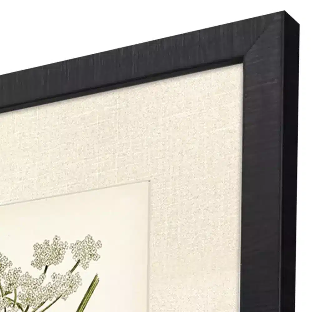 Queen's Lace Framed Prints for interior decoration