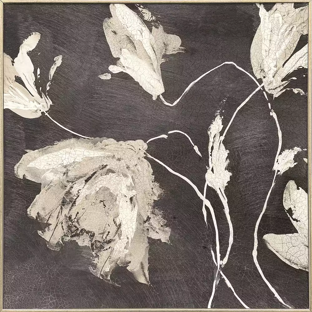 Neutral Flora I